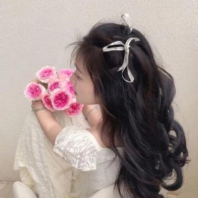 哈勃望远镜 海报