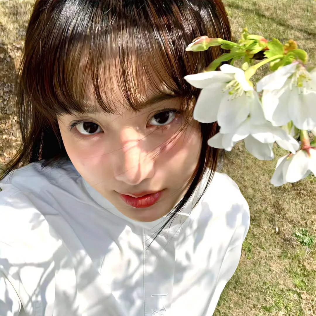 冽之花 海报